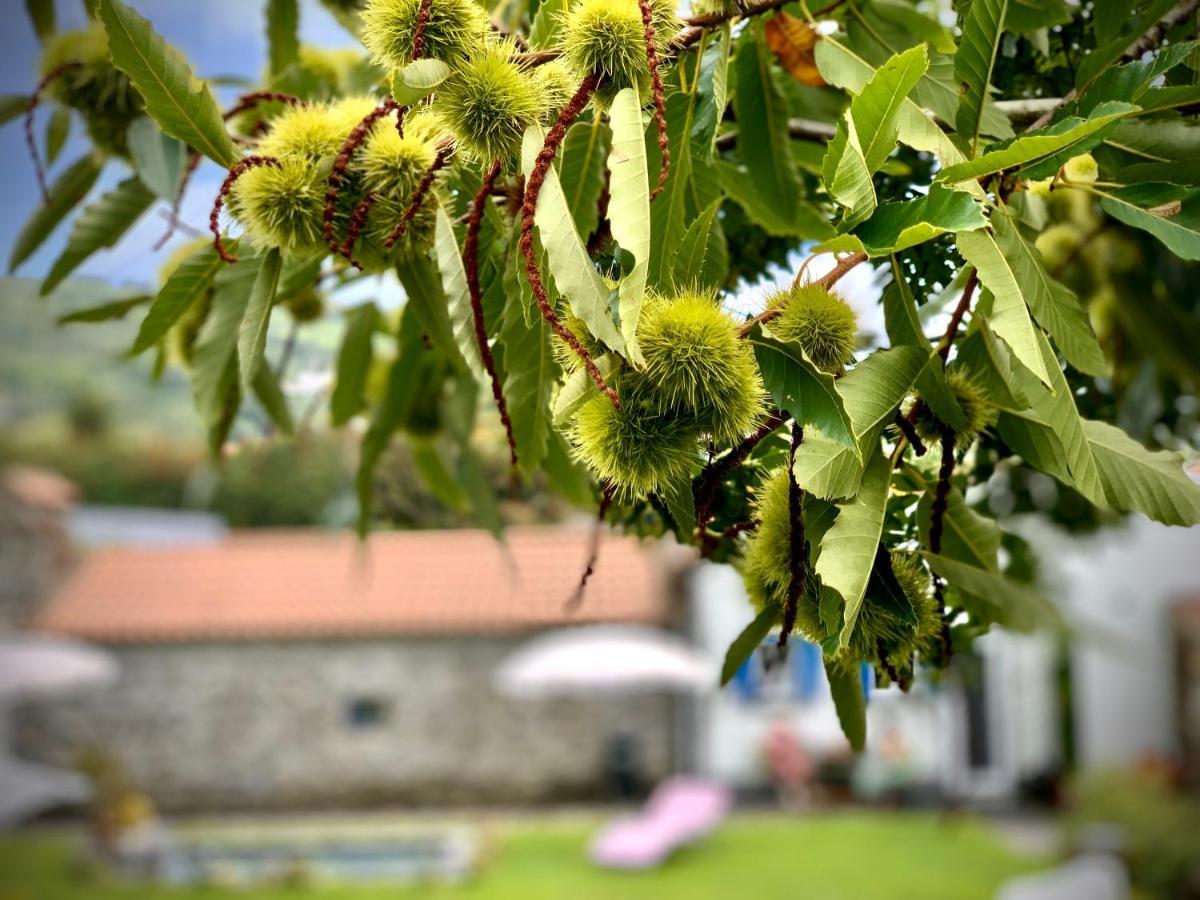 Casa Do Priolo - Villaverde Azores Feteiras ภายนอก รูปภาพ