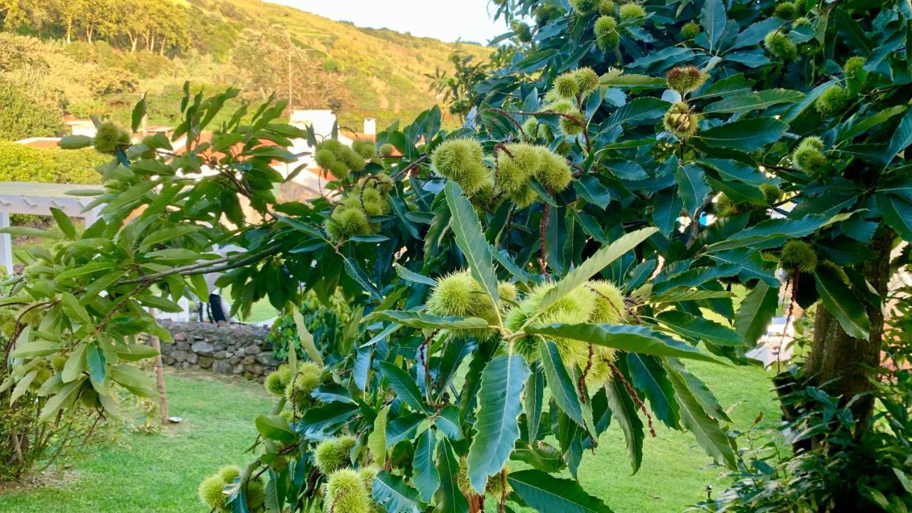 Casa Do Priolo - Villaverde Azores Feteiras ภายนอก รูปภาพ